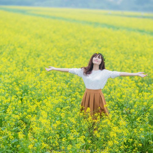 Hướng dẫn đi cánh đồng hoa cải vàng Đà Lạt
