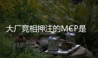 大厂竞相押注的MCP是啥？